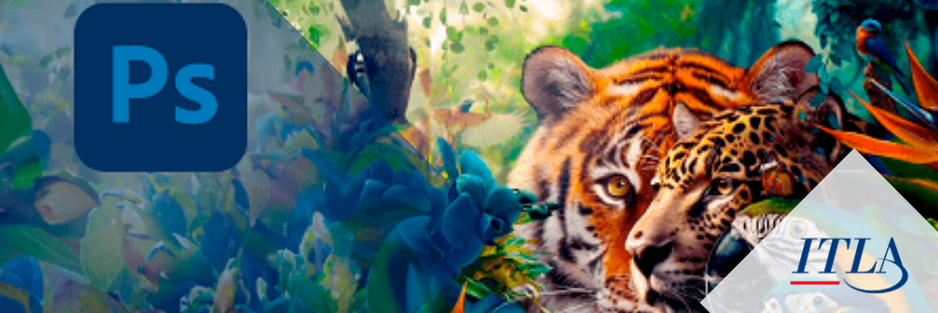 Curso de Photoshop Avanzado